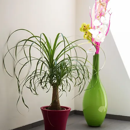 Nocleg ze śniadaniem B&B Villa Verde 3*