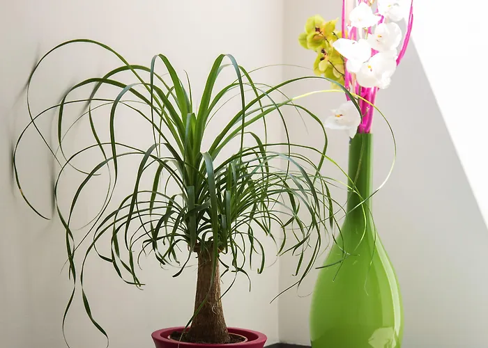 Bed & Breakfast B&B Villa Verde 3*